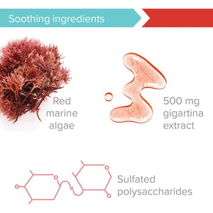 Vibrant Health, Gigartina Red Marine Algae, Plant-Based Immune Support, 60 Capsules