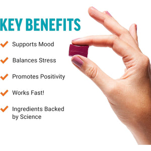 FORCE FACTOR Mood Support and Mood Balance Supplement - Tropical Fruit Flavor, 30 Soft Chews