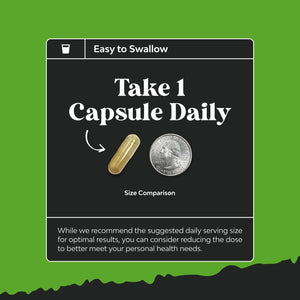 Nootropic Memory Supplement for Brain Support - Memory Pills for Brain Boost and Natural Energy Booster