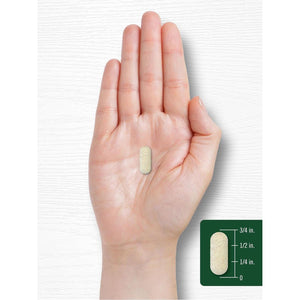 Carlyle Antioxidants Supplement | 100 Caplets | Nutritional Complex | Vitamin A, C, E | Non-Gmo, Gluten Free Formula.