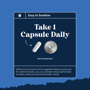 DHEA Supplement for Hormone Balance for Men & Women - Improves Mood Stability, Brain, Immune Function, Energy & Fertility - 120 Capsules