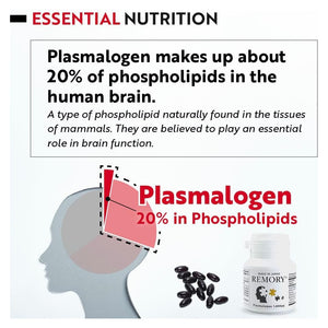 Plasmalogen Sea Squirt Supplement - Brain Health Supplement - 30 Days Supply