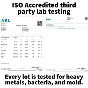 Dr. Westin Childs Thyro Biotic - Probiotic for Women - Thyroid, Digestive Health & Hormones 30 Servings