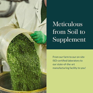 Gaia Herbs Mighty Lungs - Lung Support Supplement to Help Maintain Overall Lung & Respiratory Health (30-Day Supply).