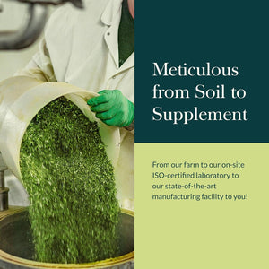 Gaia Herbs Microbiome Cleanse with Black Walnut, Sweet Wormwood, Oregano & Peppermint (30-Day Supply)