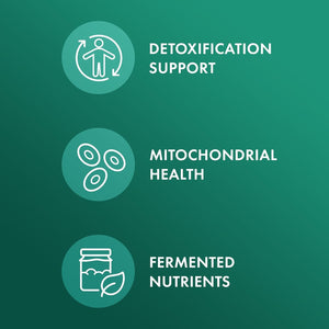 Dr. Mercola Fermented Broccoli Sprouts, Supports Detoxification Processes 30 Servings