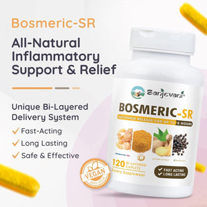 Fast-Acting Joint Supplement, 8-Hour Sustained Release, 120 Caplets - Sanjevani