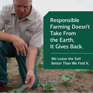 Standard Process Lactic Acid Yeast - Whole Food GI, Digestion and Digestive Health, Saccharomyces Cerevisiae - 100 Wafers