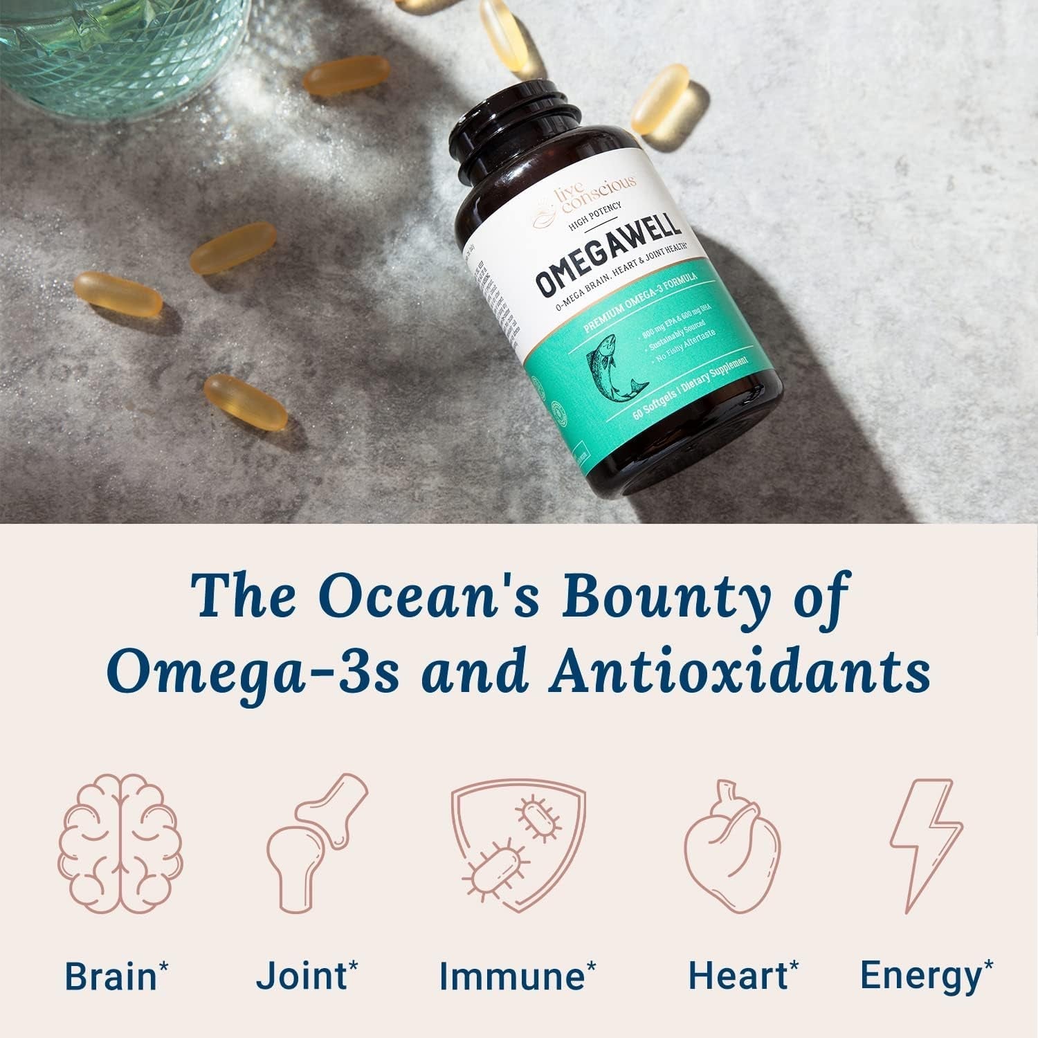 Omegawell Omega 3 Fish Oil - 2000Mg Capsules: Heart, Brain, & Joint Support - 800 Mg EPA 600 Mg DHA (30 Day Supply)