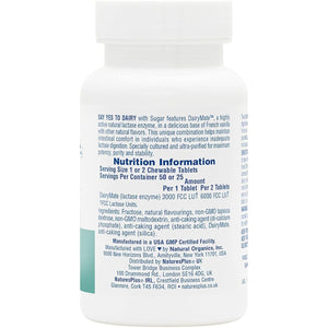 NaturesPlus Say Yes to Dairy - Maximum Strength Digestive Aid, Lactose Intolerance Relief (50 Servings)