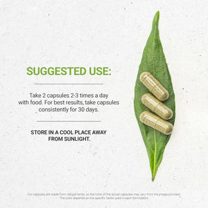 Secrets of the Tribe Thyme, 800 Mg (120 Capsules)