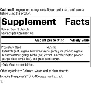 Standard Process Inc. Ginkgo Synergy - Whole Food Mental Clarity, Brain Health Supplement - 40 Capsules
