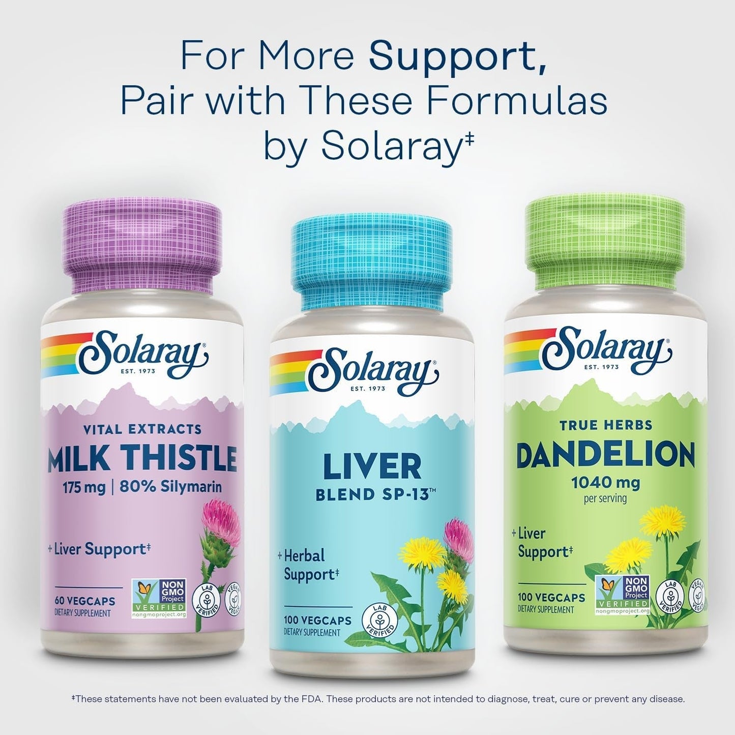 Solaray Liver Blend SP-13, Traditional Liver Support, 100 Servings,