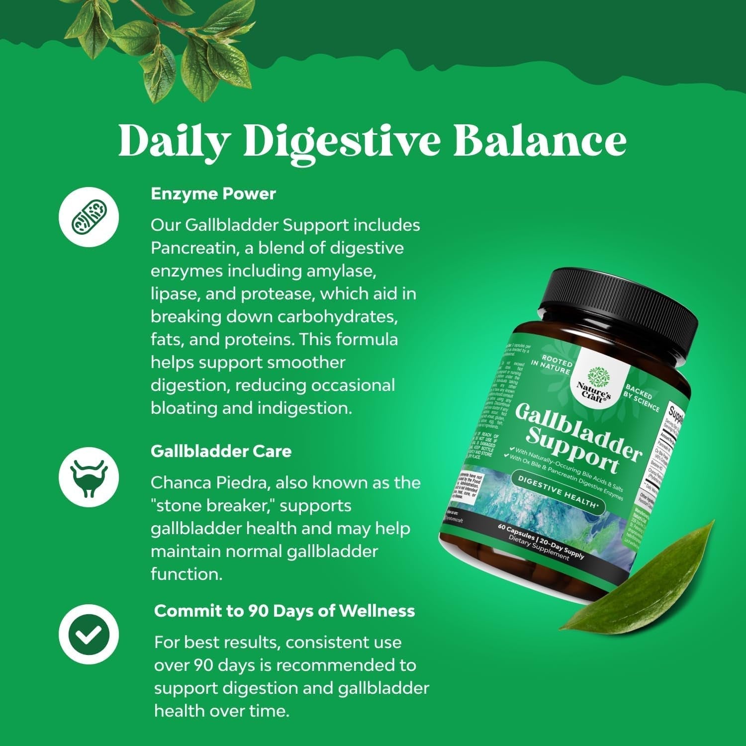 Gallbladder Support Digestive Enzymes with Ox Bile for Gallbladder & Pancreas Cleanse, Detox & Repair - 90 Capsules