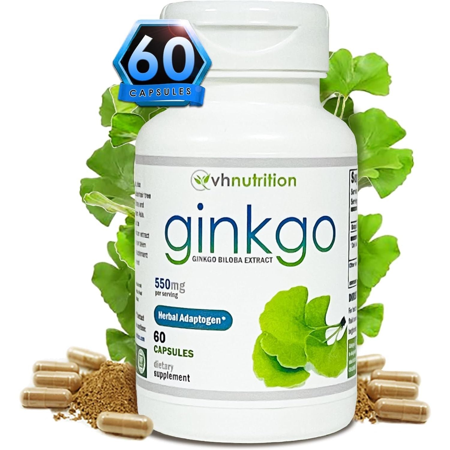 VH Nutrition Ginkgo BILOBA | 550Mg Standardized Extract Supplements | Cognitive and Memory Support* | 60 Capsules