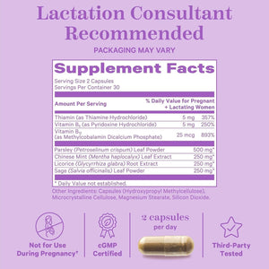 Pink Stork No Flow: Dry up Breast Milk Supply with Sage, Parsley, and B Vitamins, Postpartum Essentials for Women 60 Capsules.