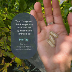 Dragon Herbs - Tao in a Bottle Capsules | Herbal Formula Supplement to Support Stress, Mood, Focus, Adaptability, (60 Capsules, 450 Mg)