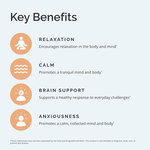 Dr Amen Brainmd GABA Calming Support - Promotes Relaxation 90 Capsules