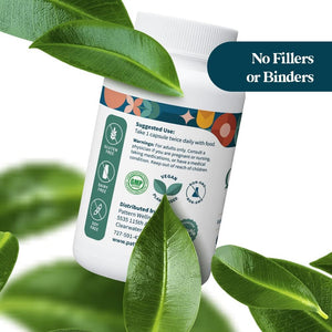 Pattern Wellness Quercetin Supplement with Bromelain - Immune Function & Cellular Health Support 60 Capsules