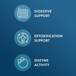 Dr. Mercola Betaine HCL and Pepsin, 650Mg Betaine HCL - Supports Healthy Digestion 90 Capsules