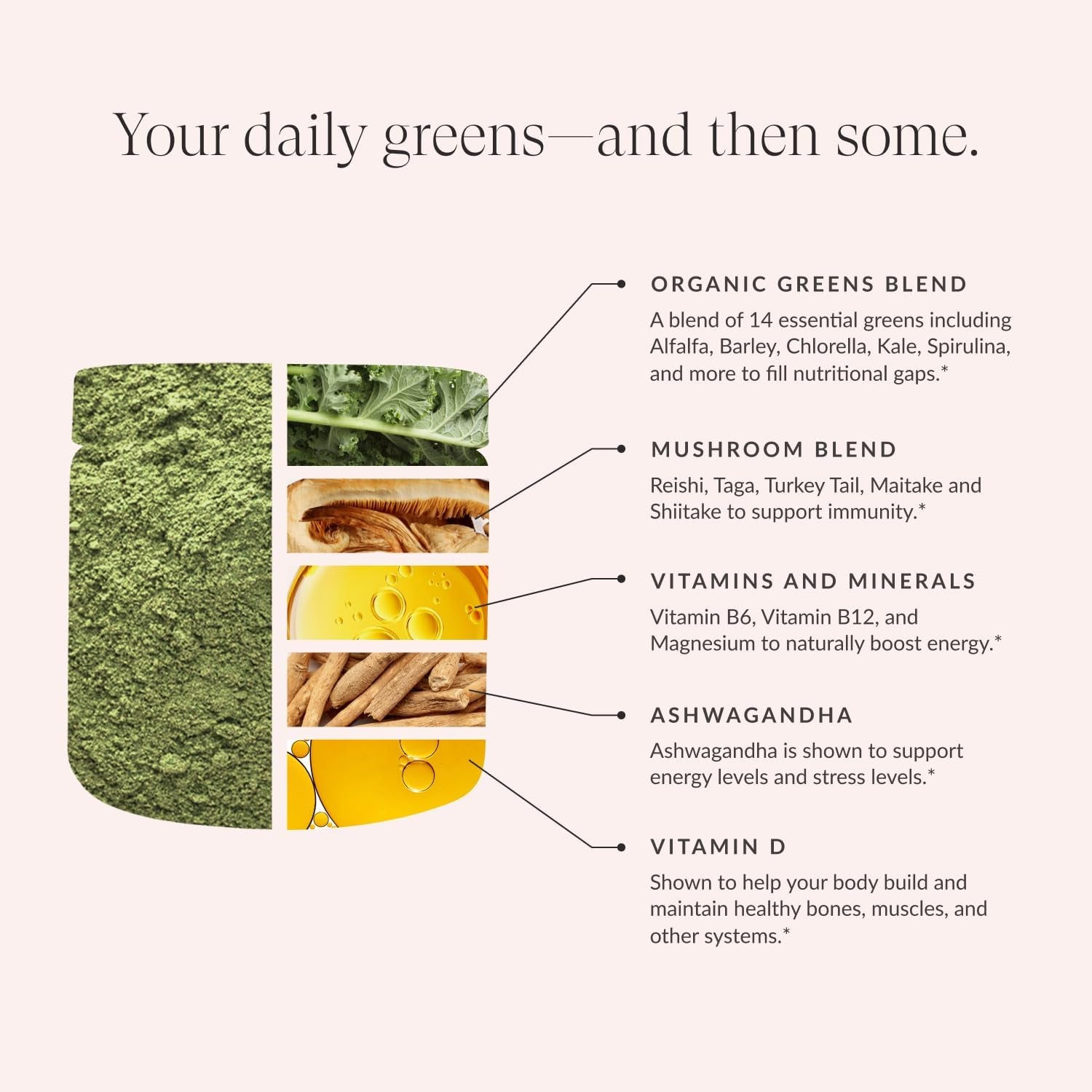 Beam Superfood Supplement for Gut Health,  Daily Detox & Immune Support - 30 Servings