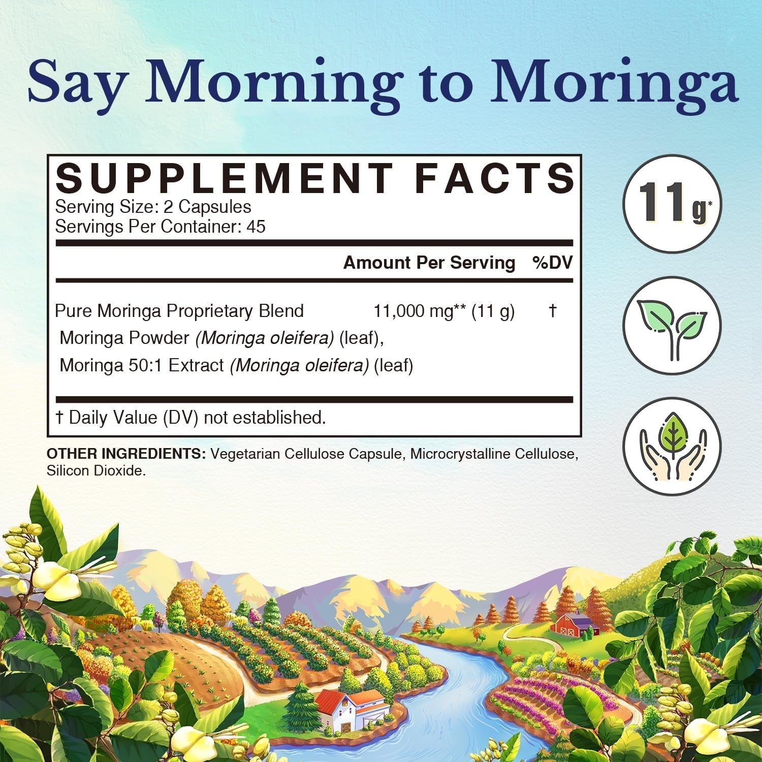 Vitalitown Moringa Capsules 11,000 MG,, Green Moringa Leaves, No Sticks, No Caffeine, Moringa Oleifera, Energy, Appetite, 90 Capsules
