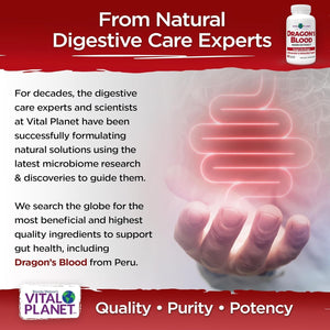Vital Planet - Dragon'S Blood Resin Extract for Digestive Health 500Mg 60 Capsules