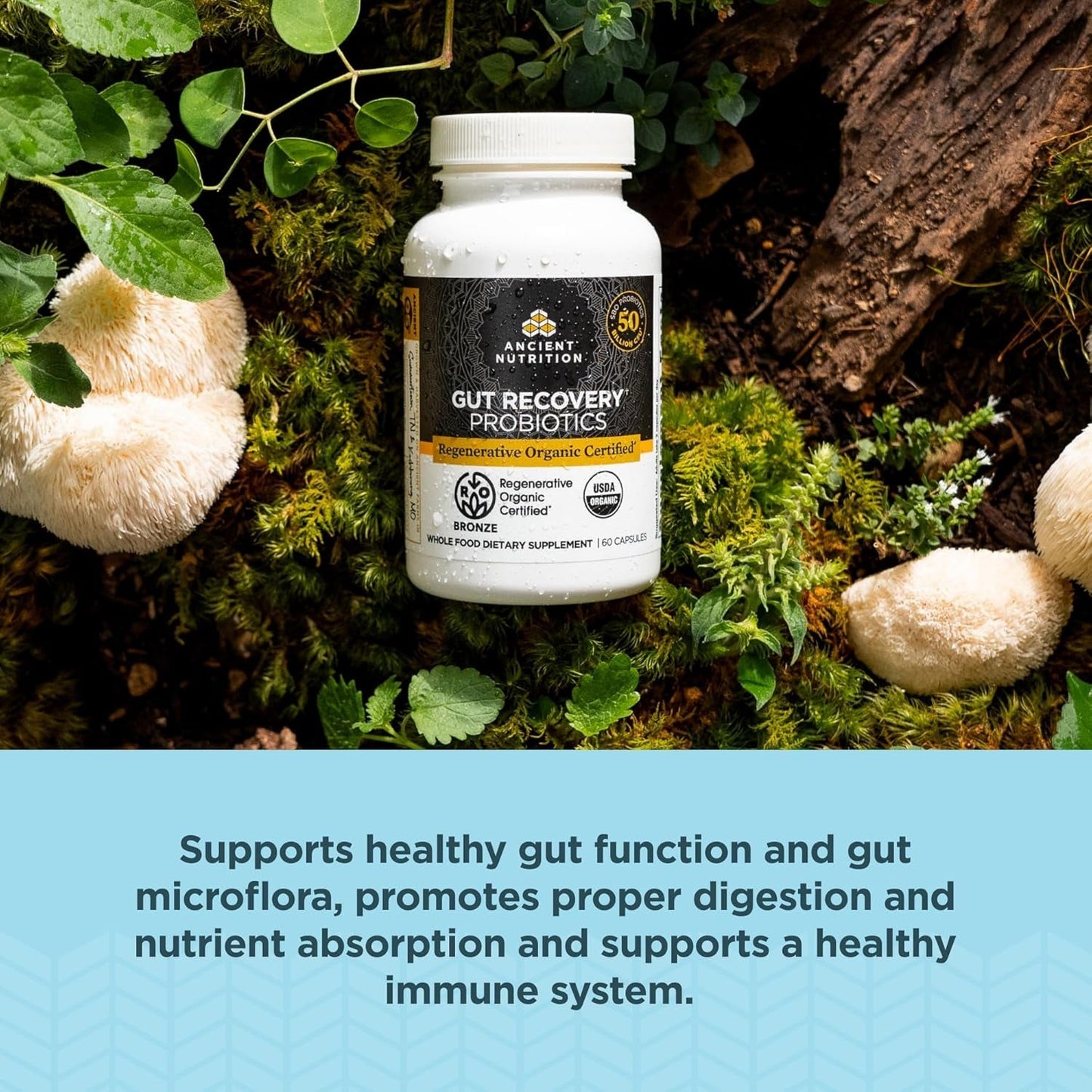 Ancient Nutrition Regenerative Organic Certified Probiotics, for Healthy Digestion and Immune System Function Support, 50 Billion Cfus* 60 Count