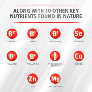 Urinozinc Prostate Classic Formula Health Supplement, 60 Capsules