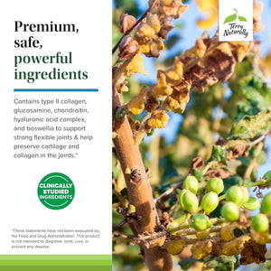 Terry Naturally Be Mobile - Joint Support Supplement - 60 Capsules/20 Servings