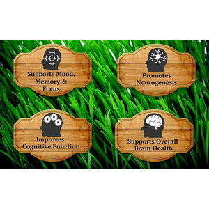 Primal Being Grassfed Beef Brain, Supports Memory, Mood, Focus, Energy, Cognitive Health - 90 Capsules, 1500Mg