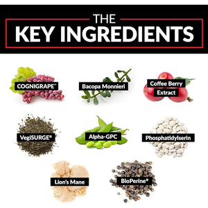 FORCE FACTOR Forebrain Advanced Brain Booster 60 Capsules