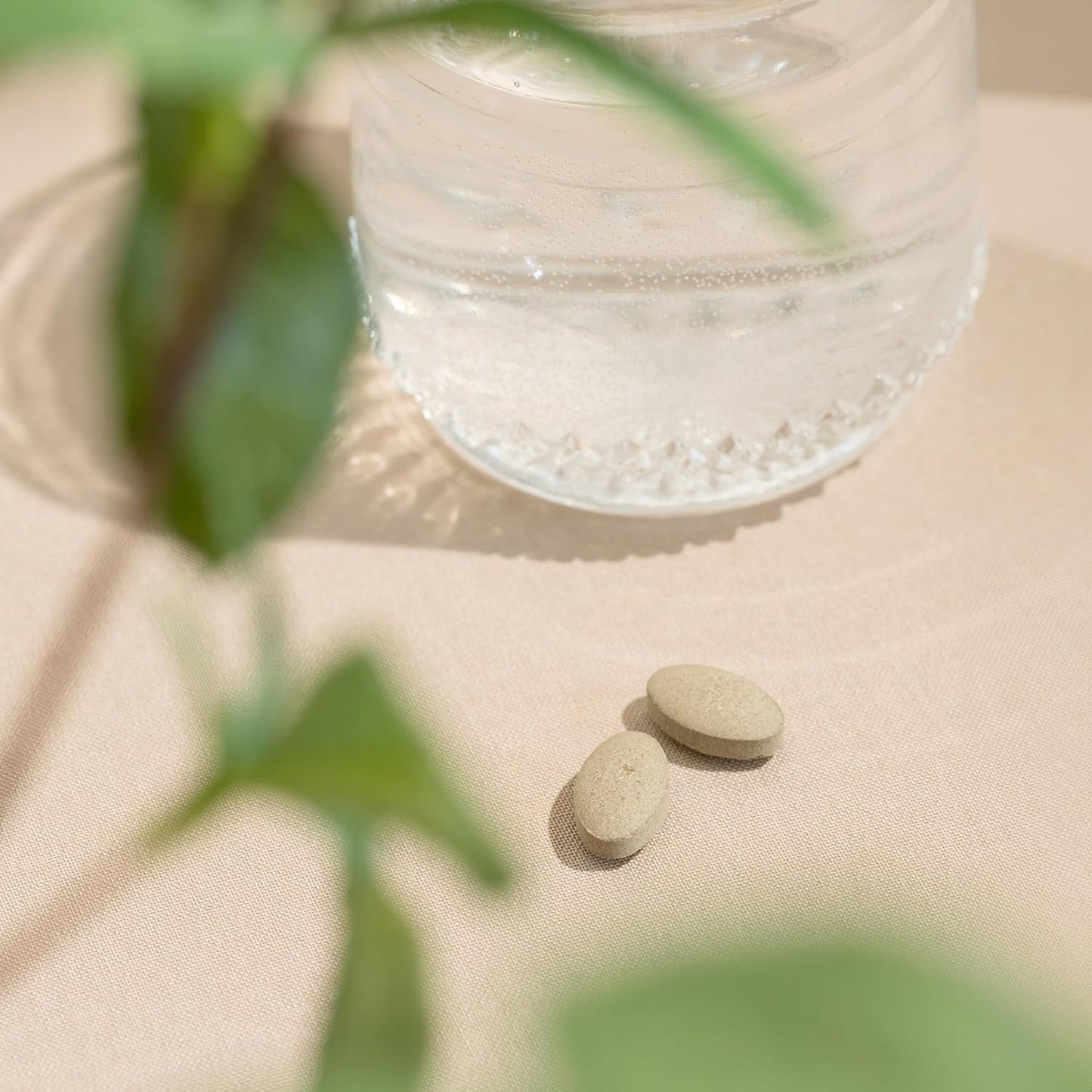 Banyan Botanicals Tranquil Mind  – Supports Occasional Anxiousness & Promotes a Sense of Calm 90 Tablets