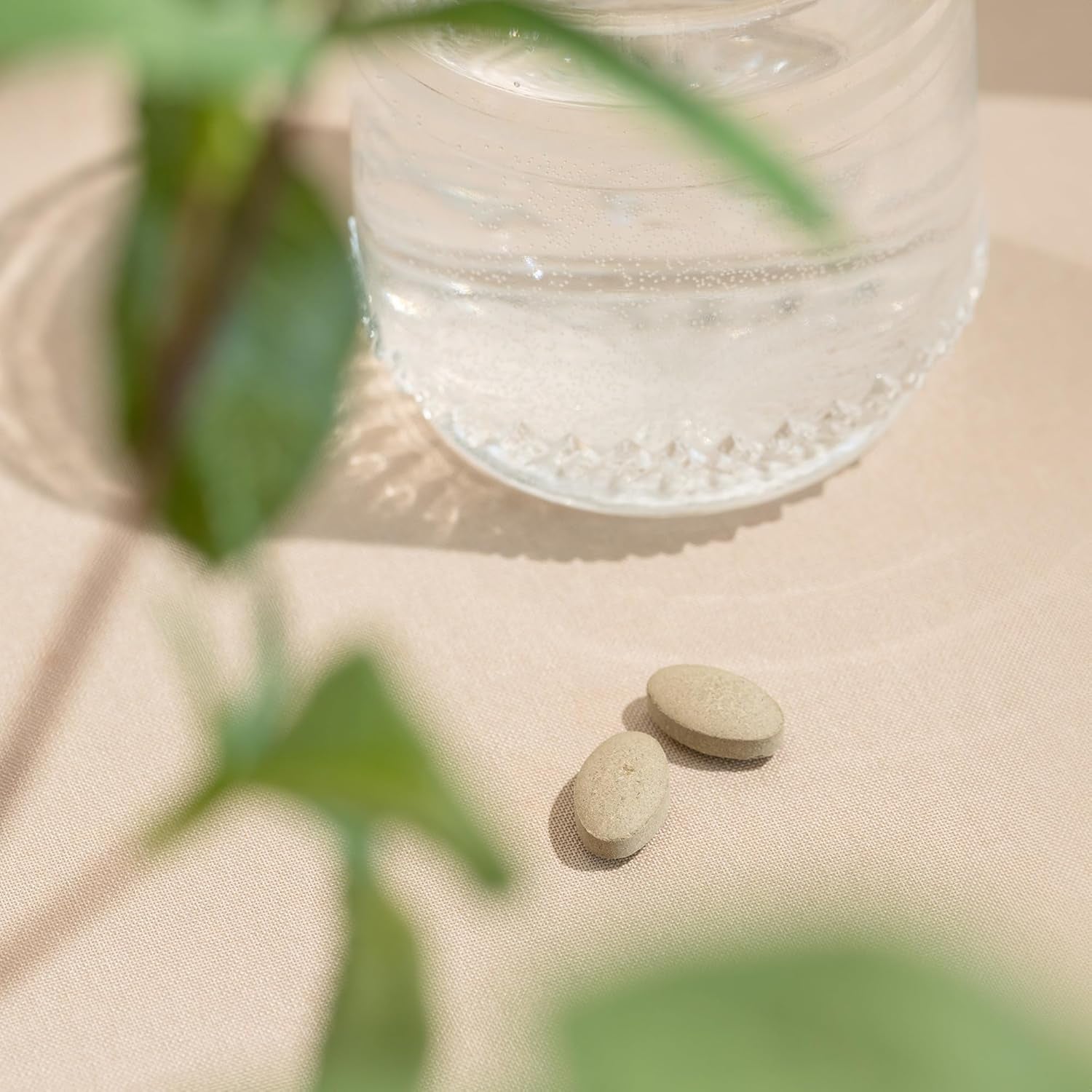 Banyan Botanicals Tranquil Mind  – Supports Occasional Anxiousness & Promotes a Sense of Calm 90 Tablets