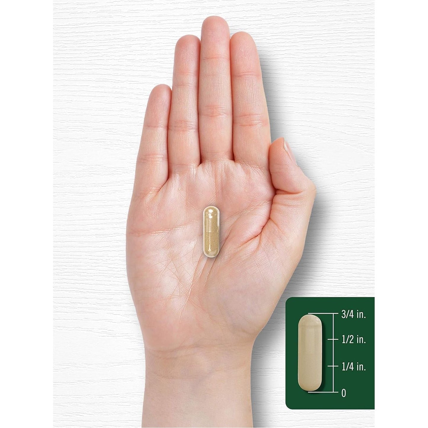 Carlyle Wild Lettuce Extract 500Mg | 200 Capsules | Non-Gmo, Gluten Free Supplement