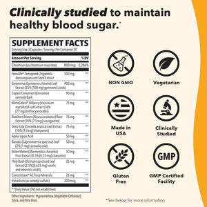Lifeseasons - GS Stabili-T - Blood Sugar Support Supplement - Healthy Circulation & Vision - 90 Capsules