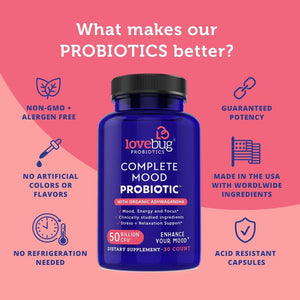 Lovebug Complete | 10 Clinically Studied Probiotic Strains & Patented Organic Ashwagandha for Cortisol and Serotonin Support 30 Count