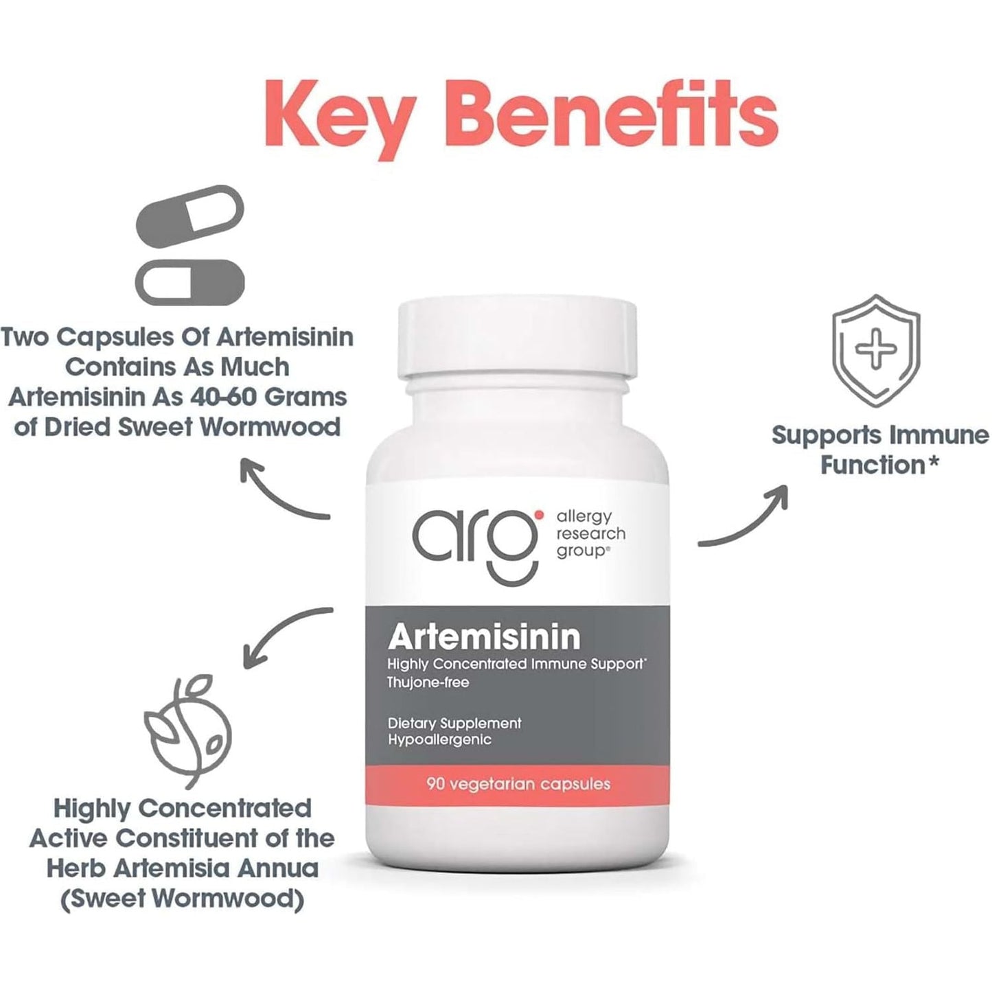 Allergy Research Group Artemisinin Supplement - GI Tract Support 90 Count
