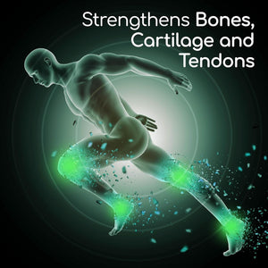 X Ray High Potency Joint Health Supplement, Supports Healthy Joints, Bones & Cartilage - 50 Count