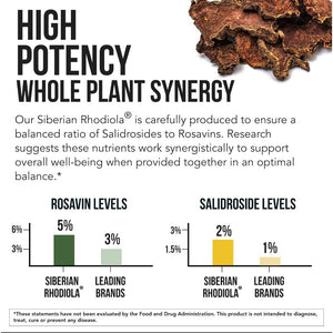 Max Strength Siberian Rhodiola – Helps Support Stress, Energy & Focus (60 Capsules)