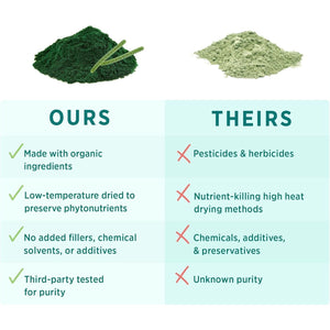 PURE SYNERGY Blue-Green Algae Capsules | Supports Energy, Mental Clarity, and Detoxification (90 Capsules)