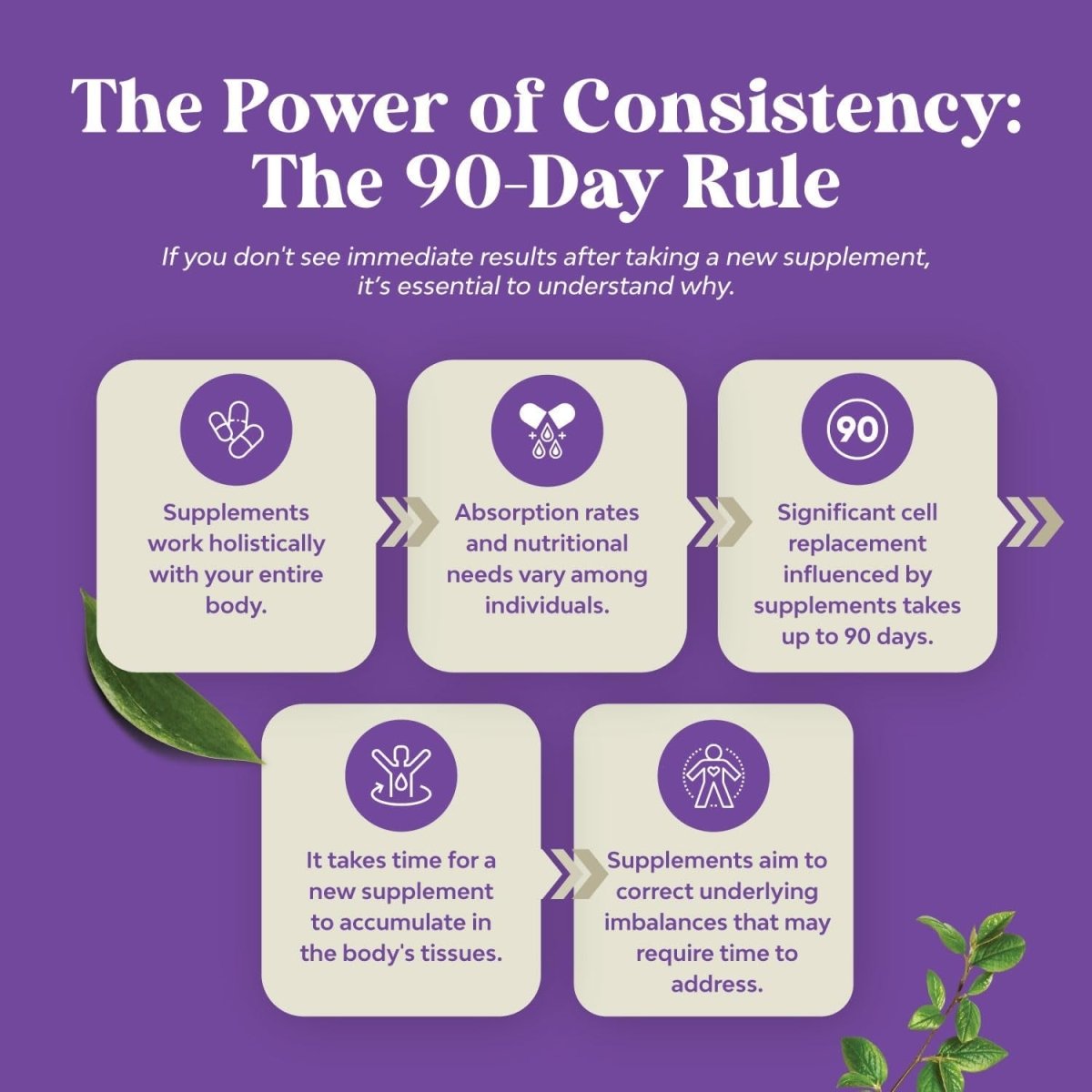 Acai Berry Antioxidant Support Weight Loss Supplement for Women and Men - 60 Servings - Suppviv