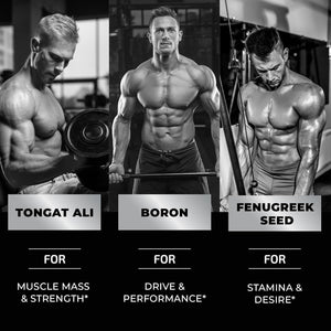 Testosterone Supplement for Men for Muscle Growth, Stamina & Performance 60 Gummies