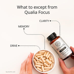 Qualia FOCUS Brain Booster Supplement to Deliver Sustained Mental Energy, Alertness, Concentration & Memory 1 Month Supply
