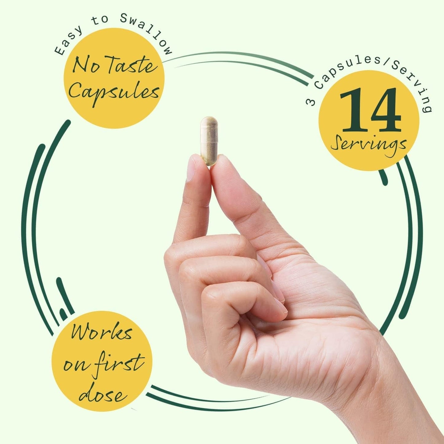 Betterbrand Bettermorning All-Natural Ingredients with DHM - Supports Liver Aid (42 Capsules)