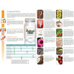 Adrenal DMG - Support Daytime Energy, Better Sleep, Immune System, Reduce Stress Levels, and Fatigue - 180 Capsules - Suppviv