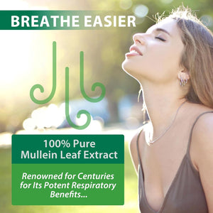 Mullein Leaf Extract Mullein Leaf Extract for Lungs Mullein Drops Mullein Leaf Lung Cleanse Supplement 2.02 Fl.Oz