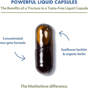 Motherlove Moringa Lactation Supplement to Support Breast Milk Supply (60 Liquid Caps)