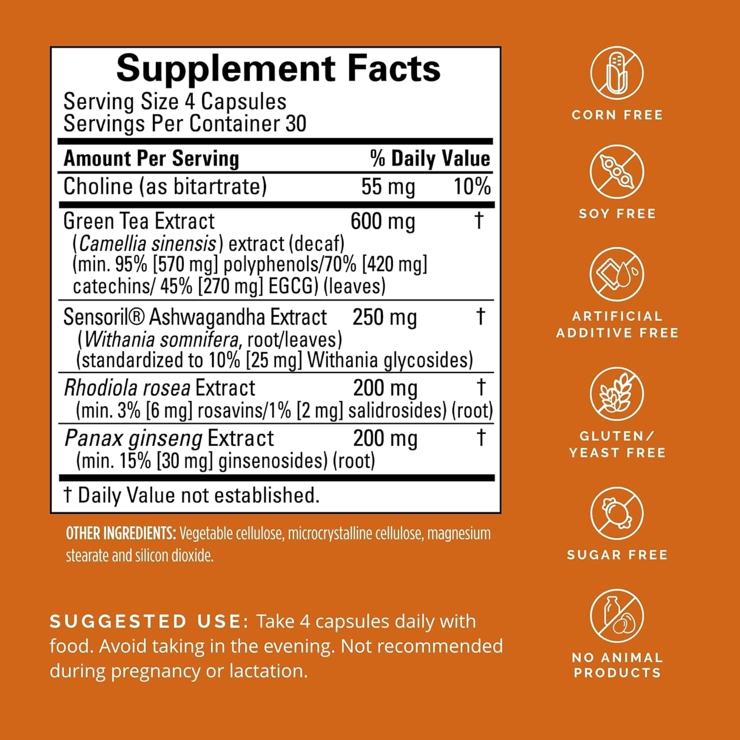 Dr Amen Brainmd Focus & Energy - Mental Endurance Booster, Promotes Concentration & Attention - 30 Servings