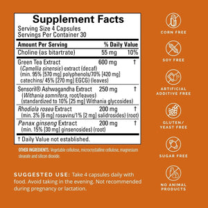 Dr Amen Brainmd Focus & Energy - Mental Endurance Booster, Promotes Concentration & Attention - 30 Servings